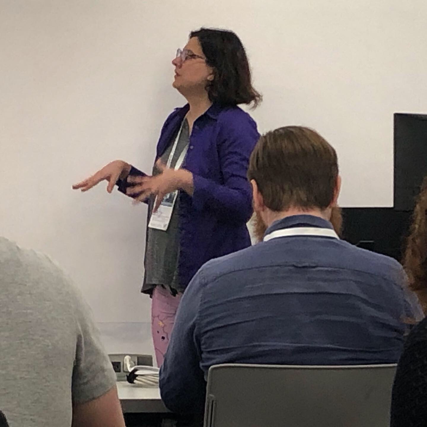 Jody Hamilton leading her Drupaldelphia session.